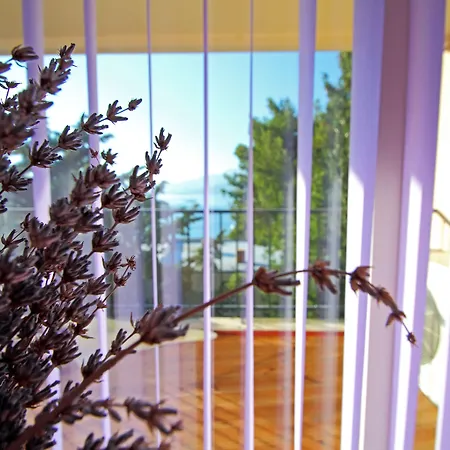 Отель Hotel Cavtat