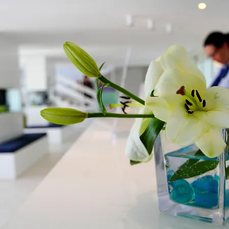 Hotel Cavtat 4*
